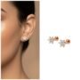 Premium Rose Gold Plated Flower Stud Earrings – Sparkling Elegance - Buy Online at Alikart