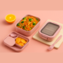Premium Snackle Pack Kids Lunch Box – Tiffin Box with 2 Small Containers, Spoon & Fork (Random Color-Pack of 1) - Buy Online at Alikart