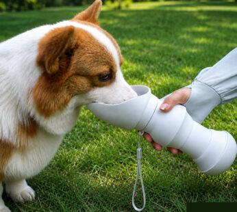 Travel-Friendly 2-in-1 Portable Pet Water Bottle and Folding Feeding Bowl