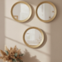 Premium Wall Mirror, Wall Décor, Champagne Colour, Plastic, Set of 3 - Buy Online at Alikart
